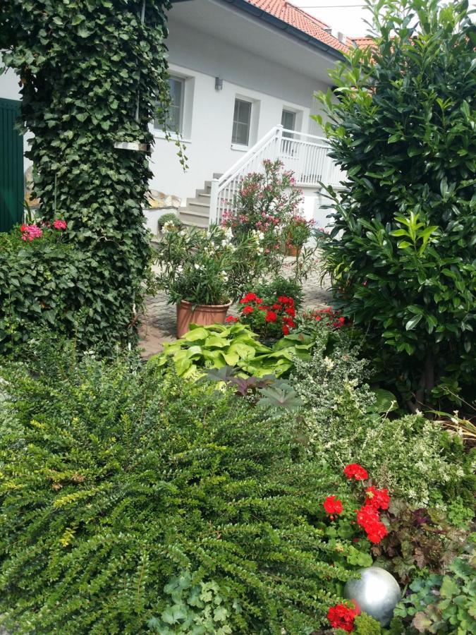 Weingut Apartment Hildegard Gangl Illmitz Luaran gambar