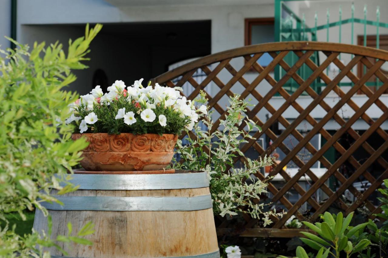 Weingut Apartment Hildegard Gangl Illmitz Luaran gambar