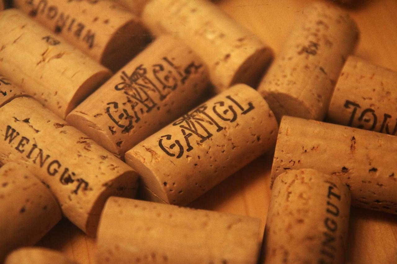 Weingut Apartment Hildegard Gangl Illmitz Luaran gambar