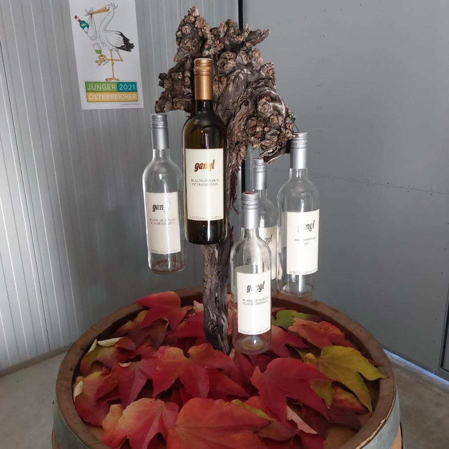 Weingut Apartment Hildegard Gangl Illmitz Luaran gambar