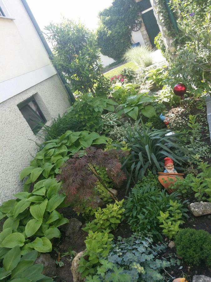 Weingut Apartment Hildegard Gangl Illmitz Luaran gambar